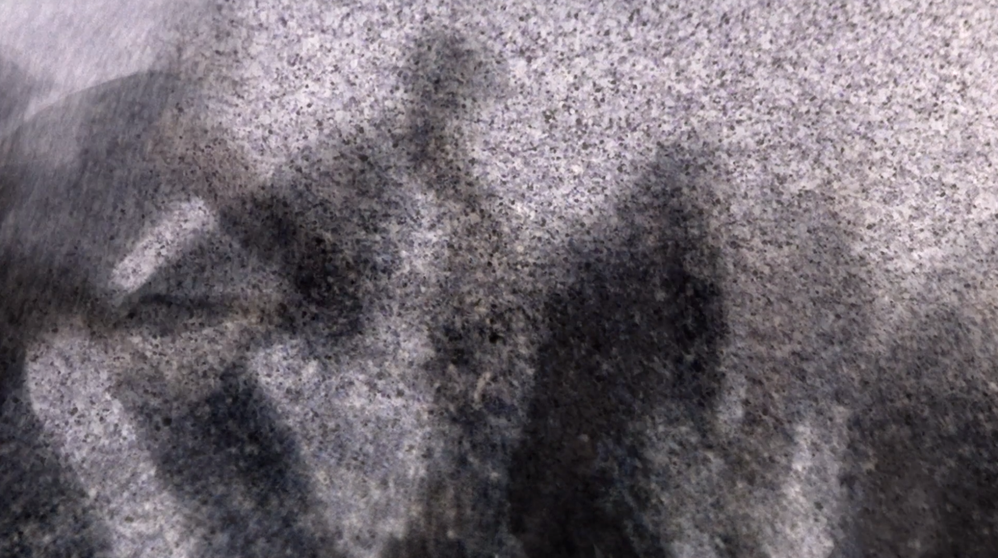 Introducing: Nataša Prosenc Stearns