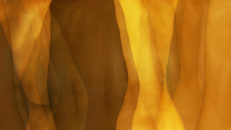 Nataša Prosenc Stearns